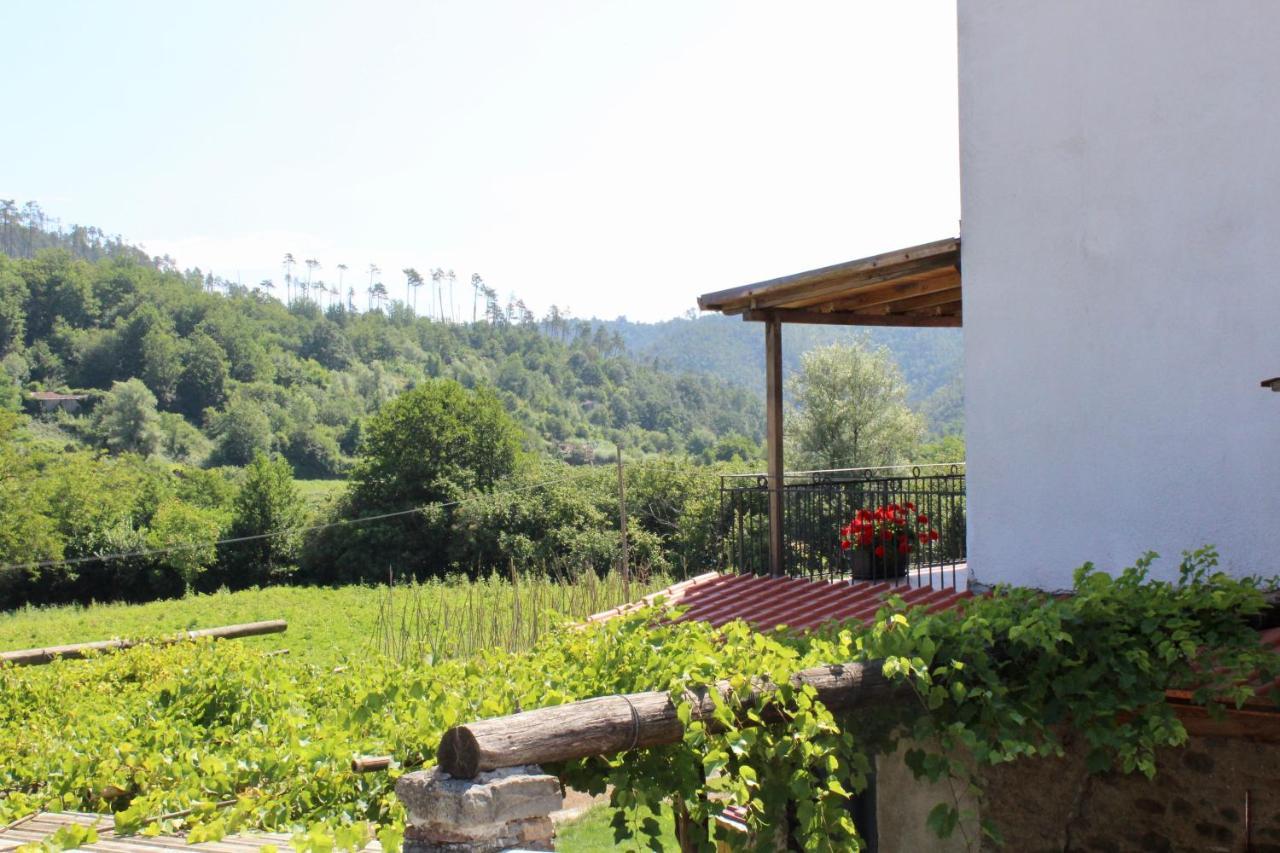 Agriturismo La Ferriera Пиньоне Екстериор снимка