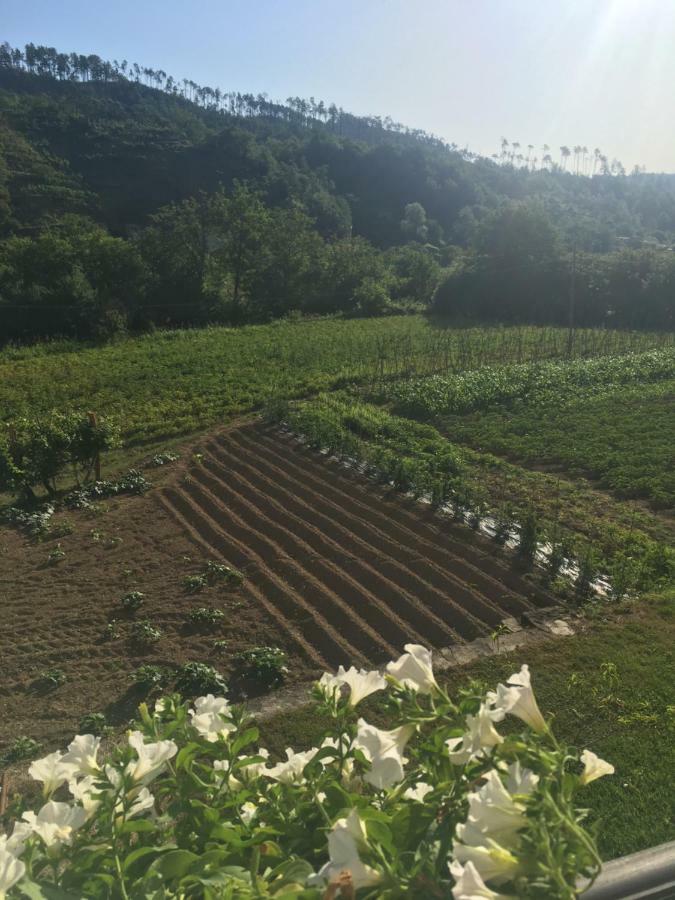 Agriturismo La Ferriera Пиньоне Екстериор снимка